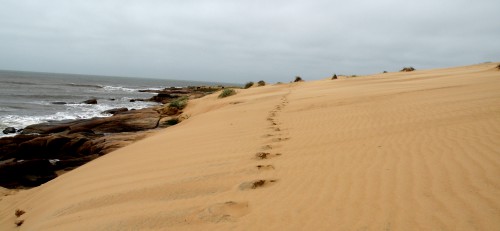 Traces de pas dunes de Valizas.JPG